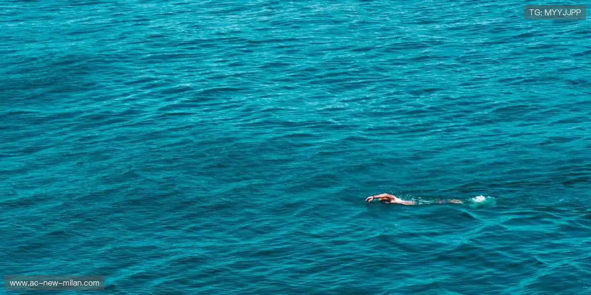 体育周边,冠军同款,你的专属装备库!🏆🎯